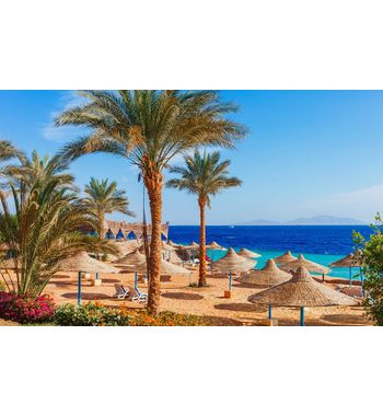 Тур в Шарм-эль-Шейх (Египет)